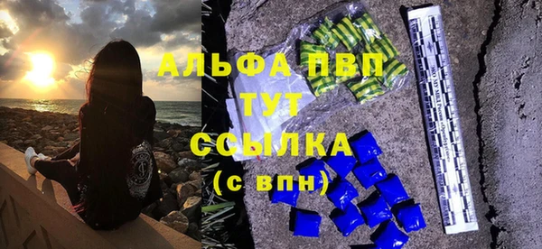 сатива Лихославль
