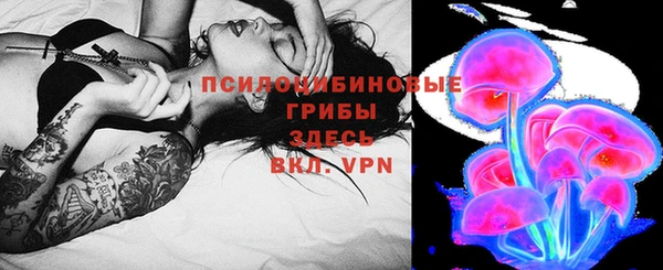 сатива Лихославль
