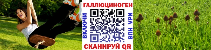 Псилоцибиновые грибы GOLDEN TEACHER  Георгиевск 