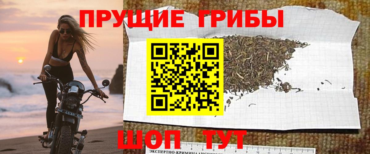 Георгиевск  Псилоцибиновые грибы GOLDEN TEACHER  Вход с VPN 